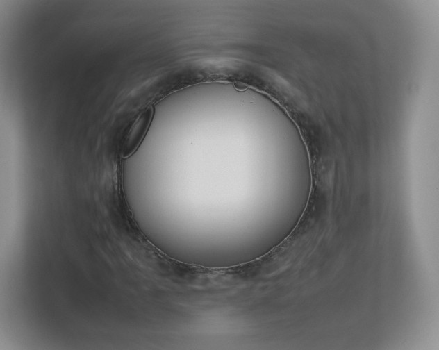 X0000111501061200907211026