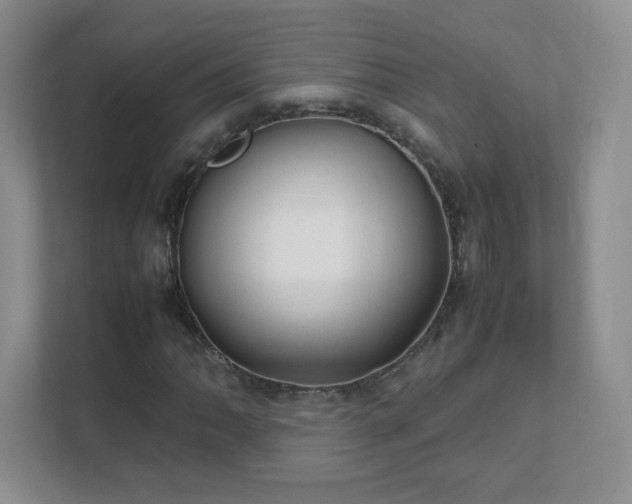 X0000111501062200907211026