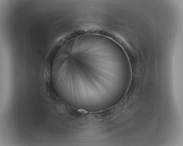 X0000111501063200907211026