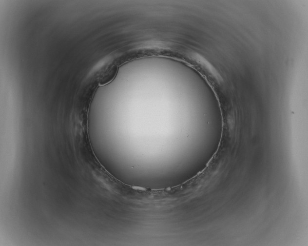 X0000111501064200907211026