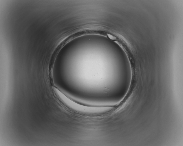 X0000111501065200907211026