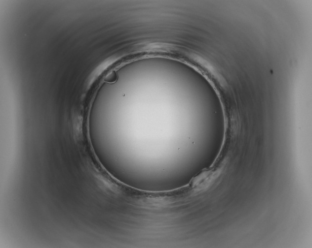 X0000111501066200907211026