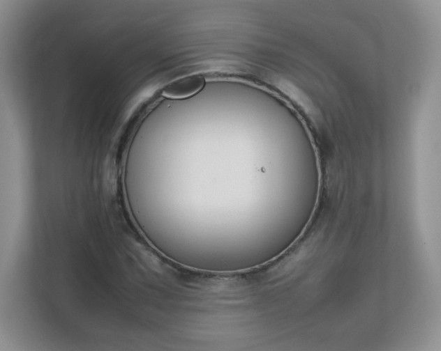 X0000111501067200907211026