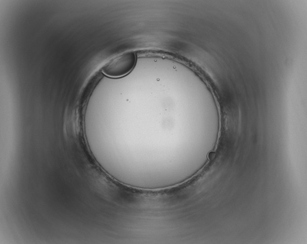 X0000111501069200907211025