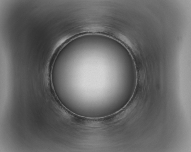 X0000111501071200907211025