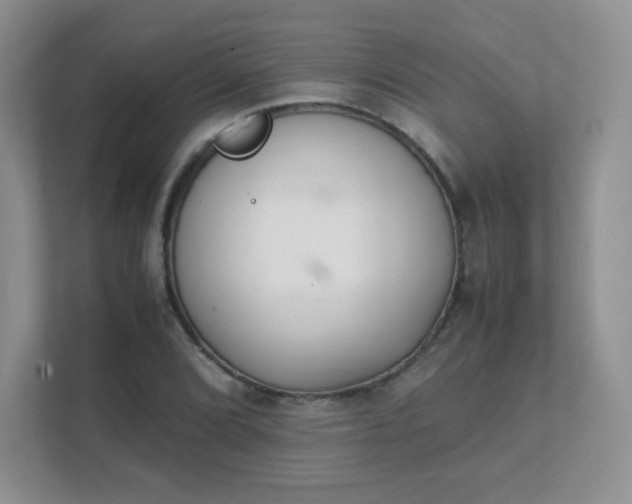 X0000111501072200907211025