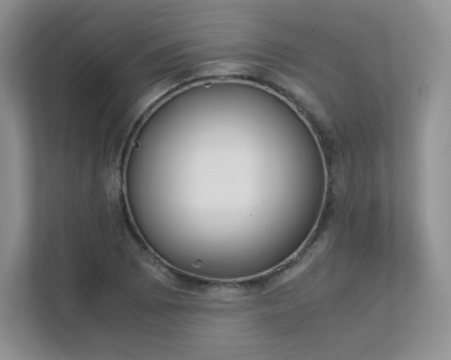 X0000111501073200907211025