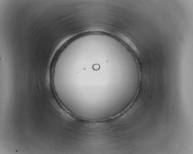 X0000111501076200907211025