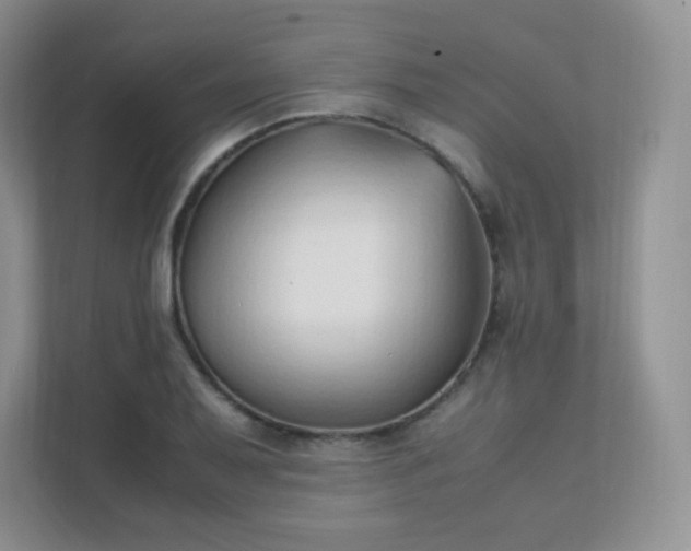 X0000111501079200907211025