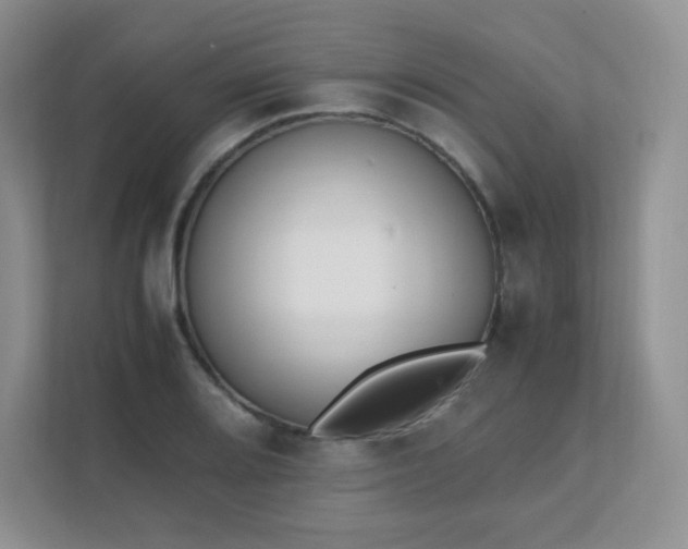 X0000111501080200907211025