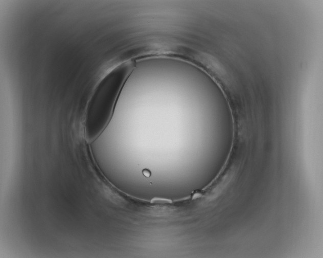 X0000111501081200907211025