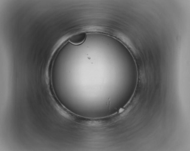 X0000111501082200907211025