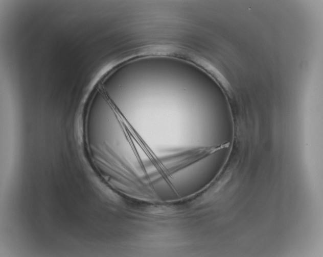 X0000111501083200907211025