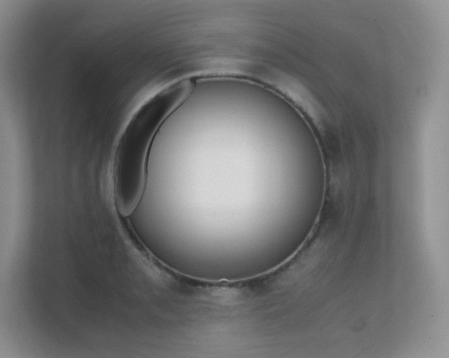 X0000111501085200907211025