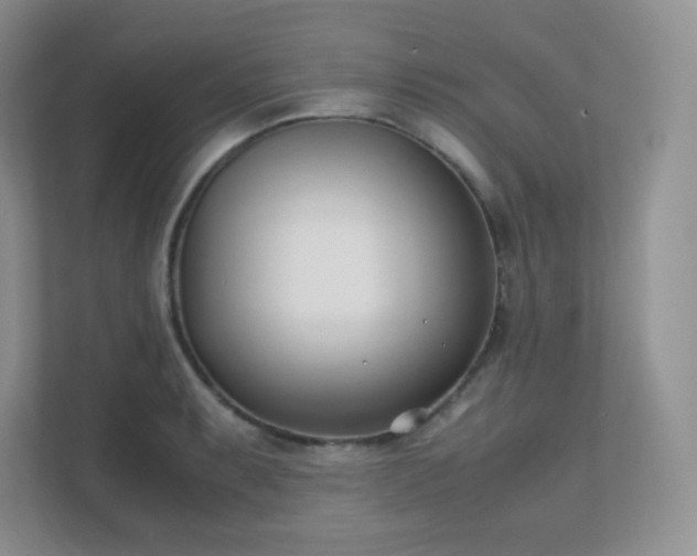 X0000111501087200907211025