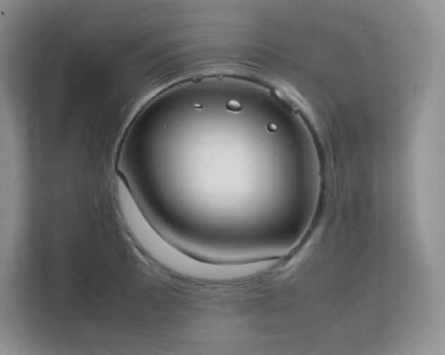 X0000111501089200907211025