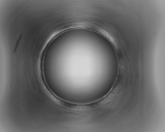 X0000111501091200907211025