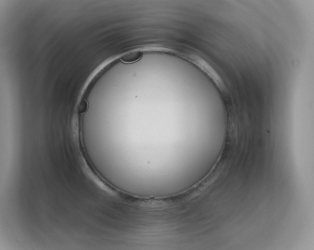 X0000111501092200907211025