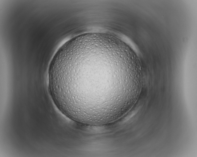 X0000111501095200907211025