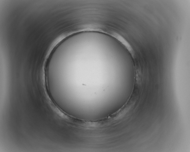 X0000111501096200907211025