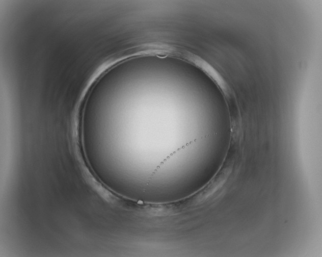 X0000111501099200907211025