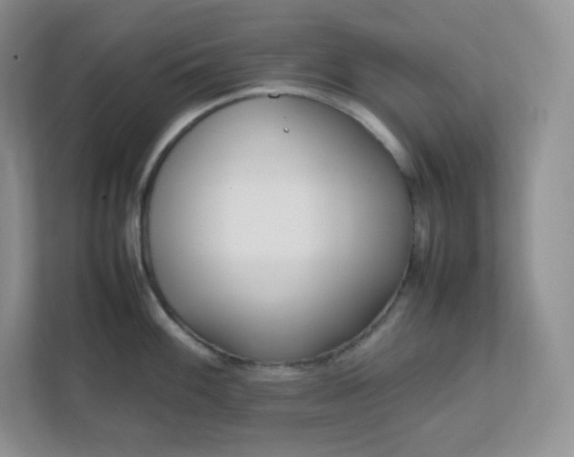 X0000111501100200907211025