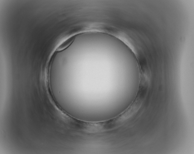 X0000111501101200907211025