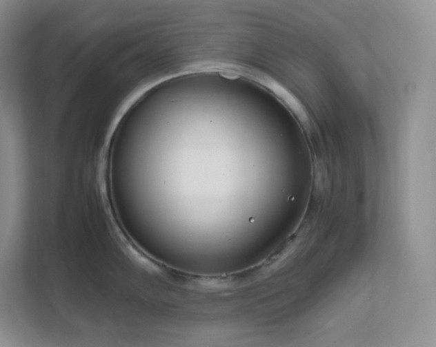 X0000111501102200907211025