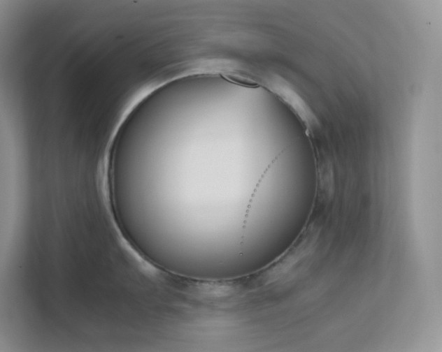 X0000111501103200907211025