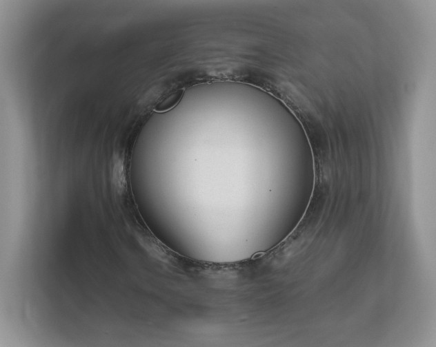 X0000111501106200907211024