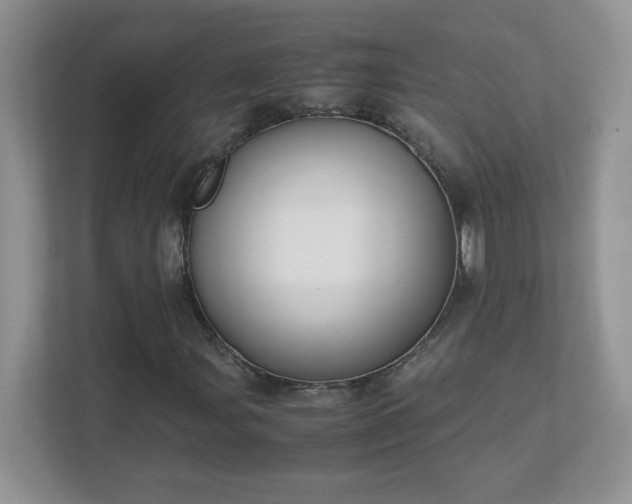 X0000111501107200907211024