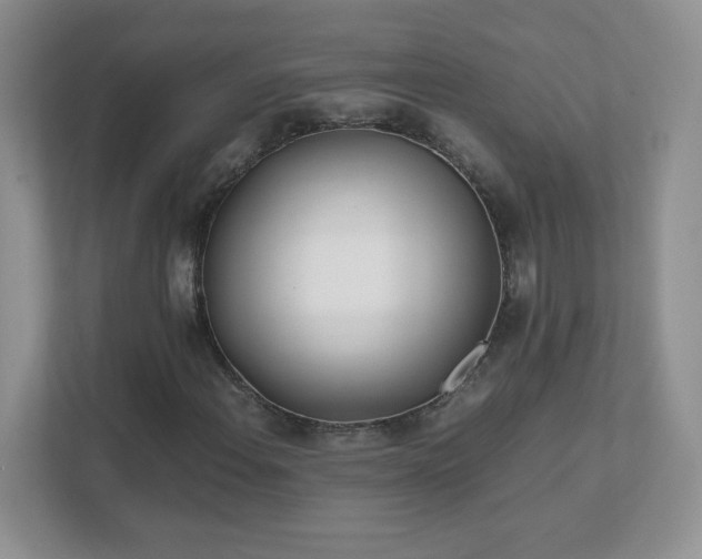 X0000111501108200907211024
