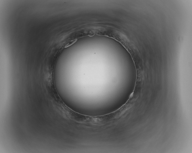 X0000111501109200907211024