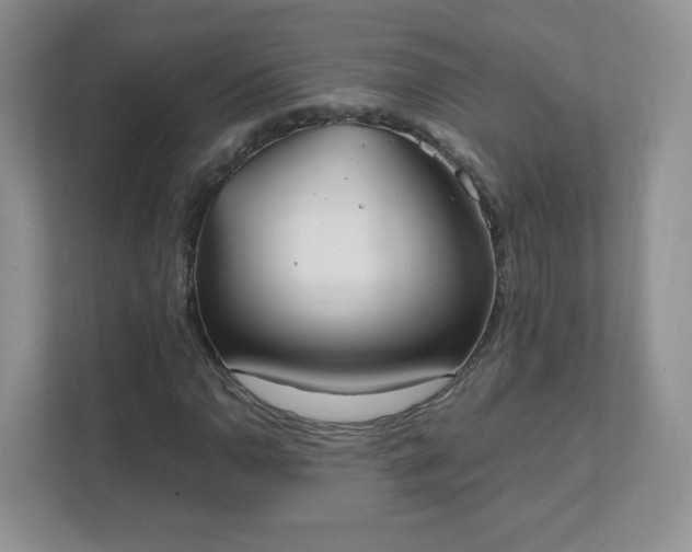 X0000111501110200907211024