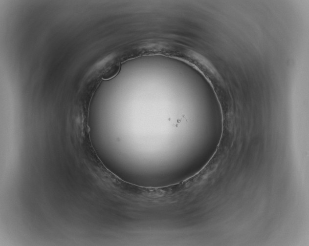 X0000111501111200907211024