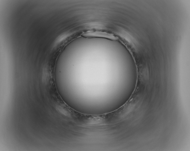 X0000111501112200907211024