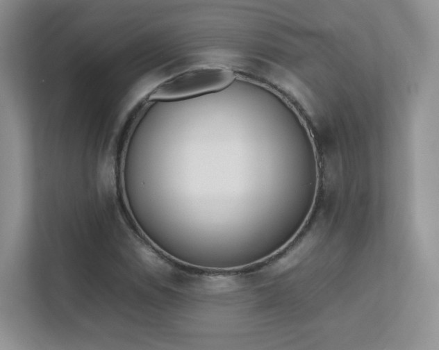 X0000111501114200907211025