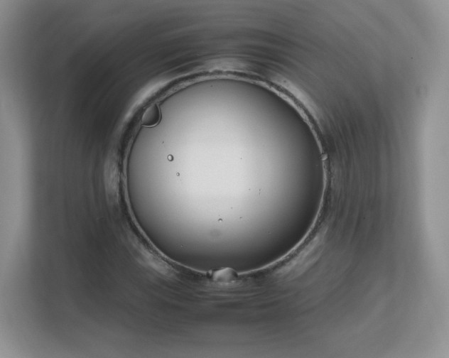 X0000111501115200907211025