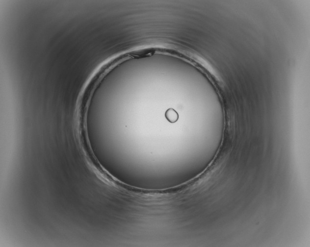 X0000111501116200907211025