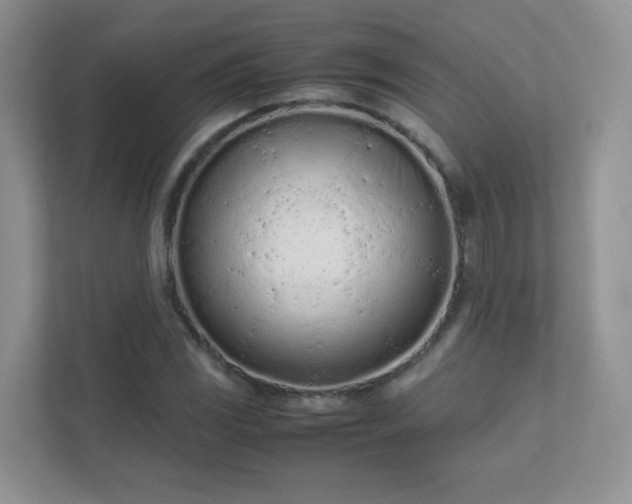 X0000111501117200907211025