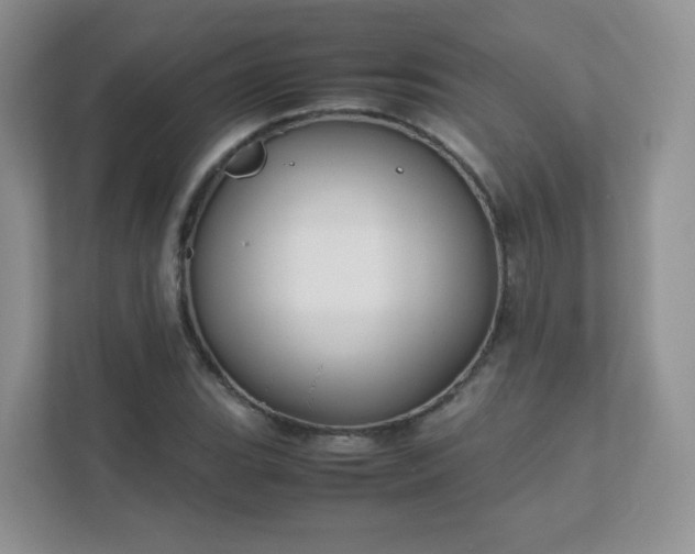 X0000111501119200907211025