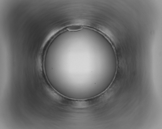 X0000111501120200907211025