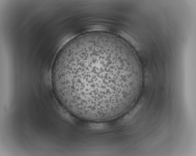 X0000111501121200907211025