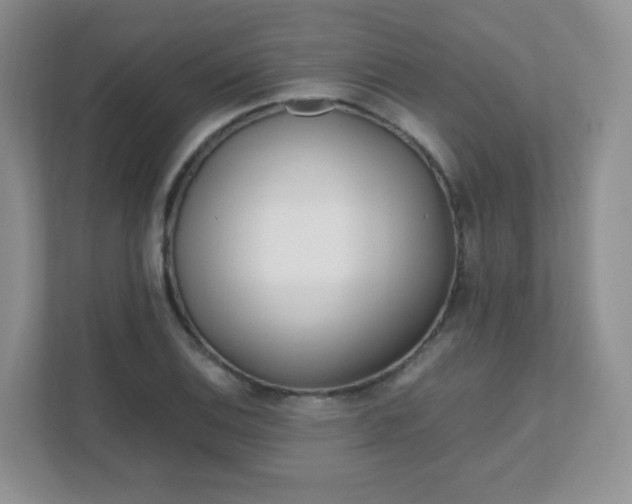 X0000111501124200907211025