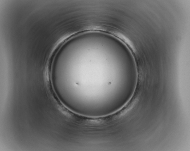 X0000111501125200907211025