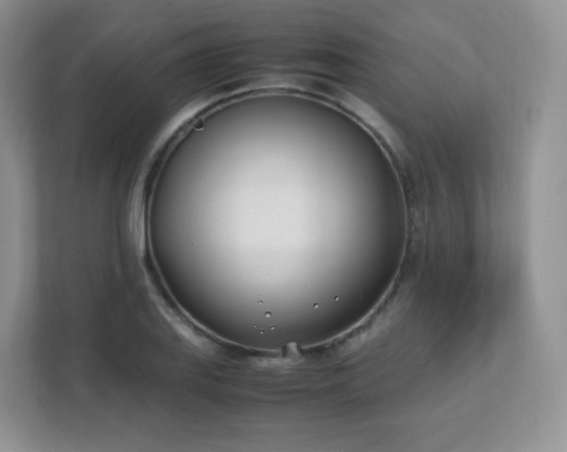 X0000111501127200907211025