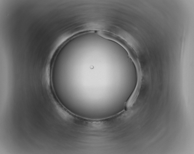 X0000111501128200907211025