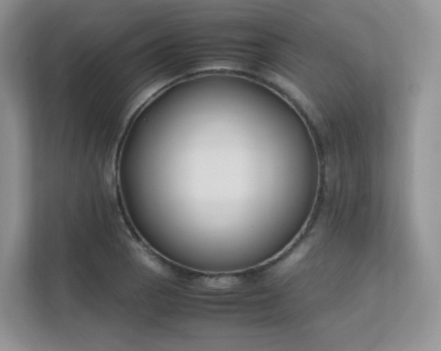 X0000111501129200907211025