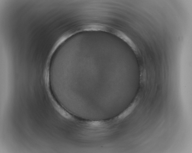 X0000111501130200907211025