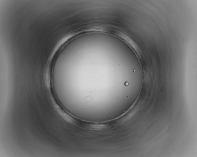 X0000111501131200907211025